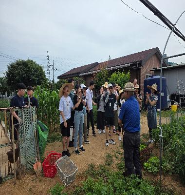 [무지개 이야기] 6월 사회적응훈련 <감자 수확 체험>